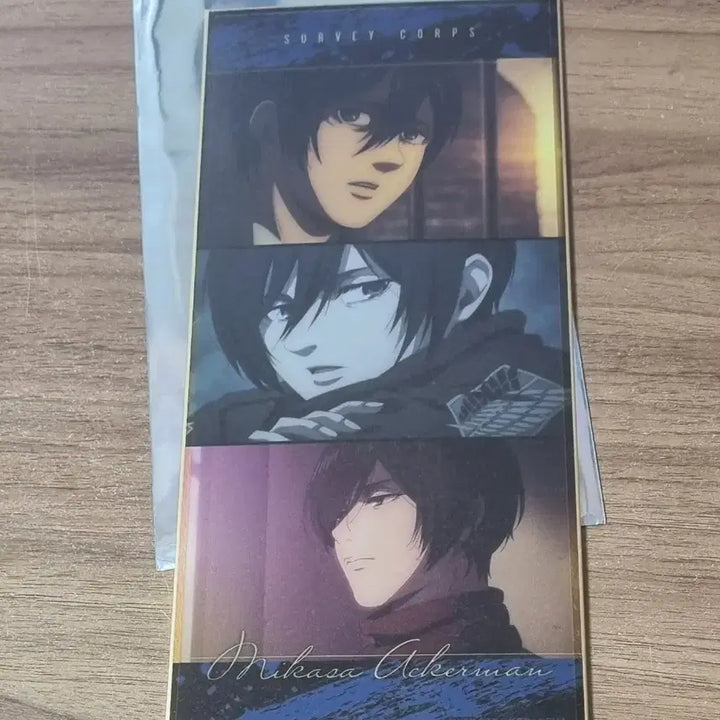 [BUNJANG] Attack on Titan Mikasa Ackerman Standing Shikishi / 진격의 거인 미카사 스탠딩 색지