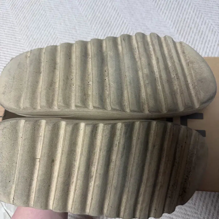 [BUNJANG] Adidas Yeezy Slide Bone Size 285 / 이지 슬라이드 본 285