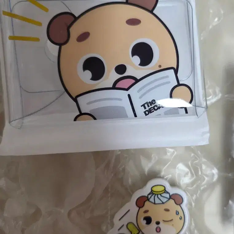 [BUNJANG] Day6 Dowoon Magnet &amp; POB Bundle Set / 데이식스 일본 도운 대구 마그넷 일괄