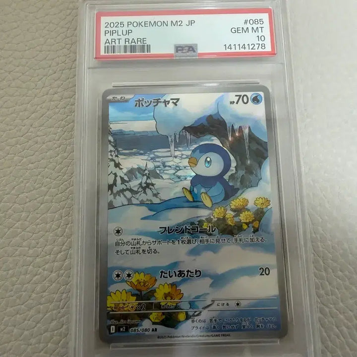 [BUNJANG] Pokemon Card Japanese Version Pinguin PSA 10 / 포켓몬카드 일판 펭도리 psa 10 팝니다