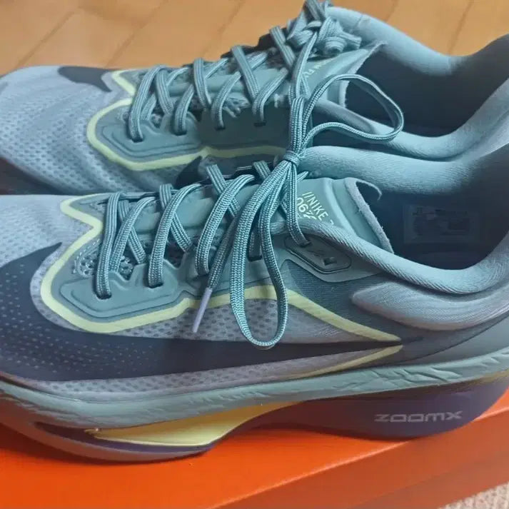 [BUNJANG] Nike Zoom Fly 6 Running Shoes / (290)나이키런닝화 줌플라이6