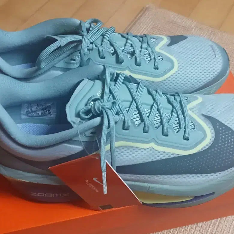 [BUNJANG] Nike Zoom Fly 6 Running Shoes / (290)나이키런닝화 줌플라이6