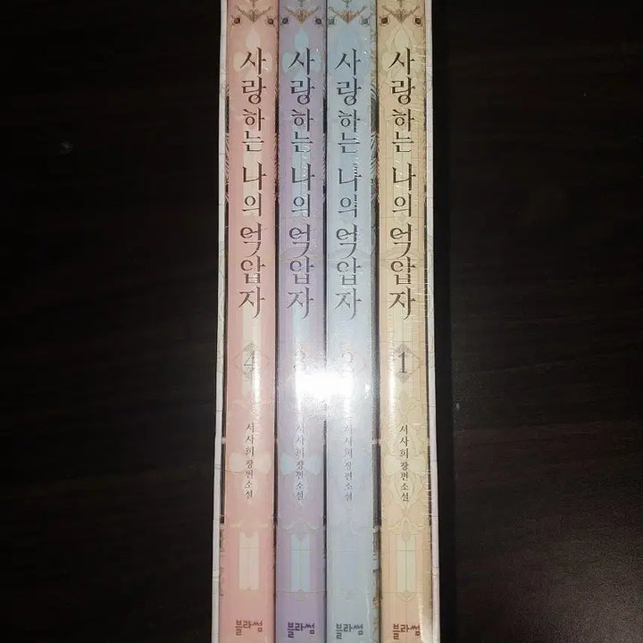 [BUNJANG] My Beloved Oppressor Novel Complete Box Set (Volumes 1-4) / 사랑하는 나의 억압자 소설 1~4권 박스본 판매