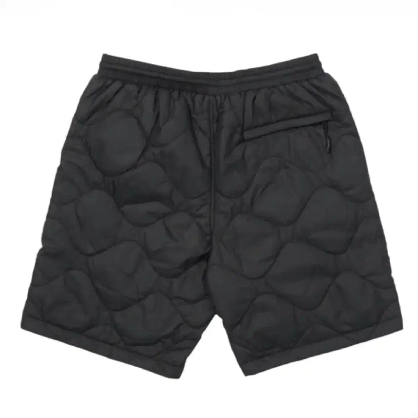 [BUNJANG] Palace Pertex Padded Shorts / 팔라스 패디드 퍼텍스 쇼츠 반바지