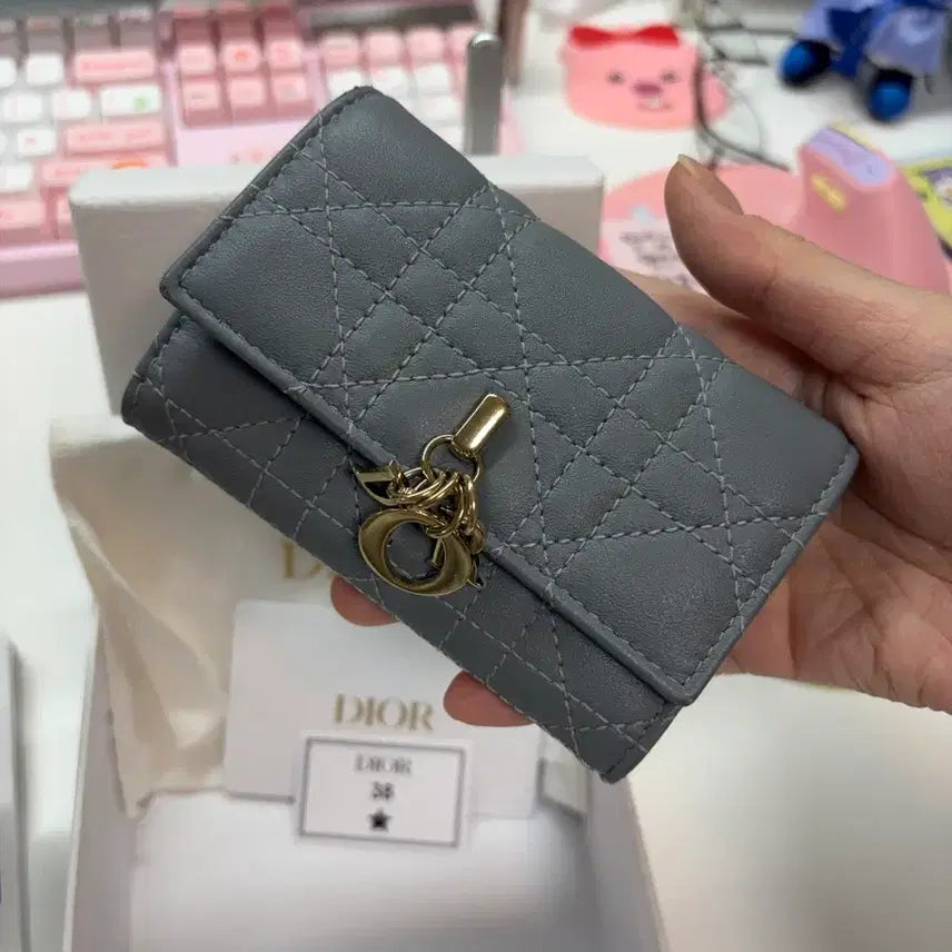[BUNJANG] Dior My Dior Glycine Card Holder Cloud Blue / 디올 My Dior Glycine 카드지갑 클라우드블루
