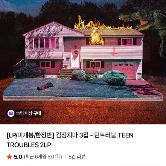 [BUNJANG] The Black Skirts Tint Trouble LP / 검정치마 틴트러블lp