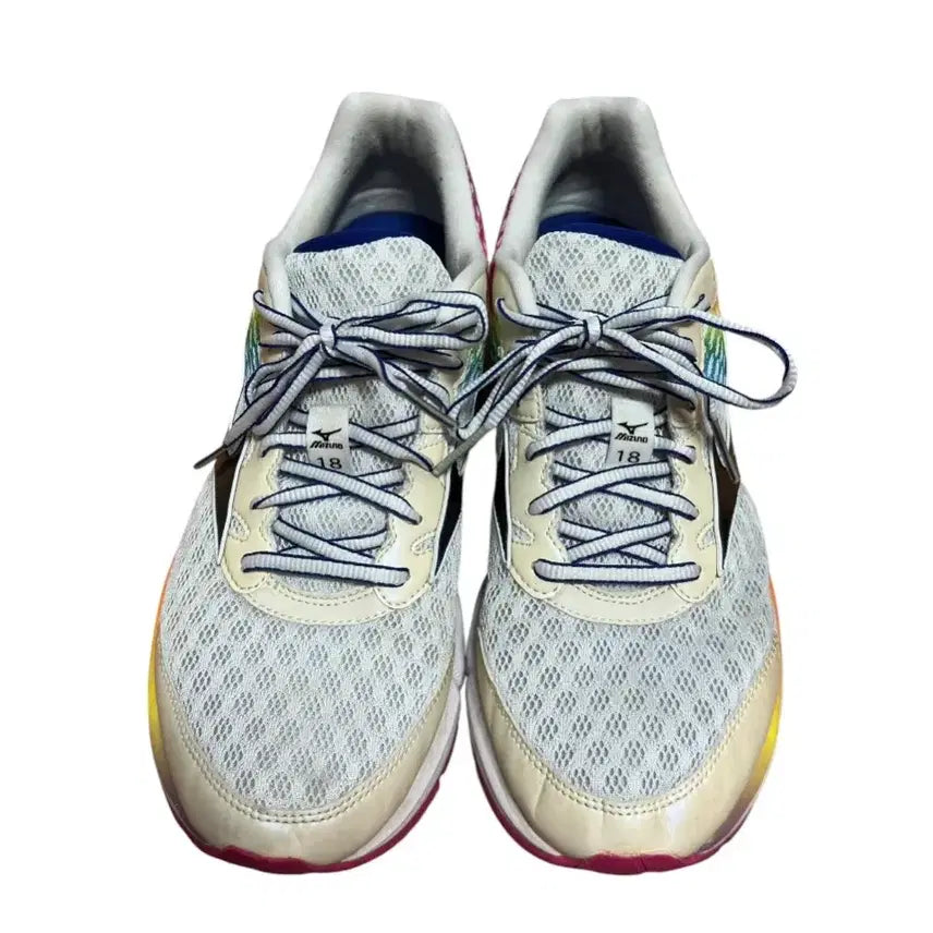 [BUNJANG] Mizuno Wave Rider 18 Osaka Rainbow Limited Edition 270 / 미즈노(Mizno) 웨이브 라이더 18 오사카레인보우 한정판 270