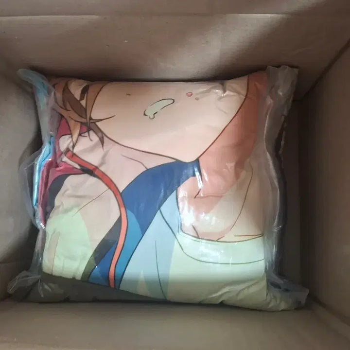 [BUNJANG] Ensemble Stars Mashiro Tomoya Gigo Cushion / 앙스타 마시로 토모야 gigo 쿠션