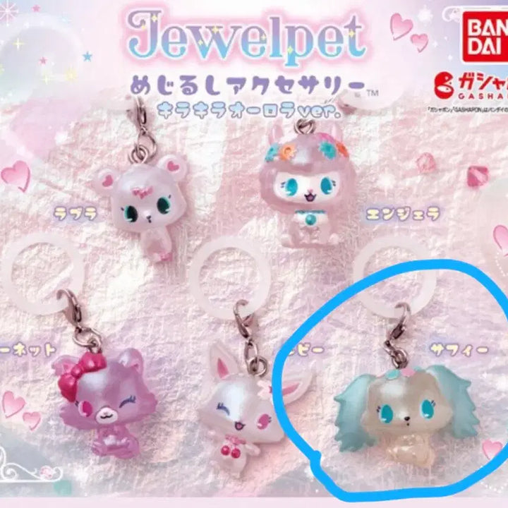 [SOLD OUT] 쥬얼펫 메지루시 사피