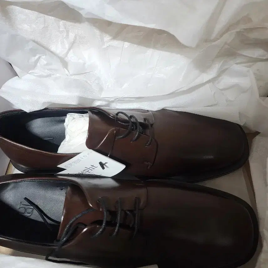 [BUNJANG] Josepht PRT Semi Square Derby Cowhide Shoes (Brown) / prt 조셉트 스퀘어 더비 카우하이드 브라운 더비