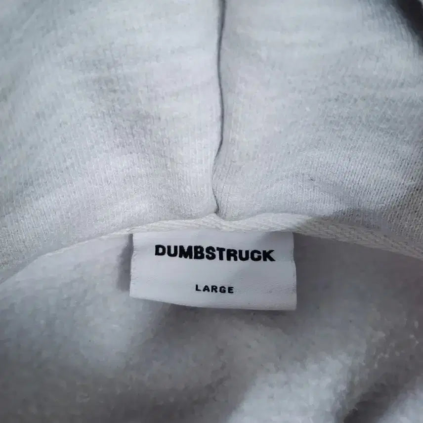 [BUNJANG] Dumbstruck Heavy Cotton Hoodie L / (L) 덤브스트럭 헤비코튼 후드티 3.9