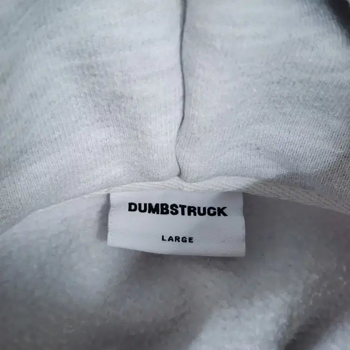 [BUNJANG] Dumbstruck Heavy Cotton Hoodie L / (L) 덤브스트럭 헤비코튼 후드티 3.9