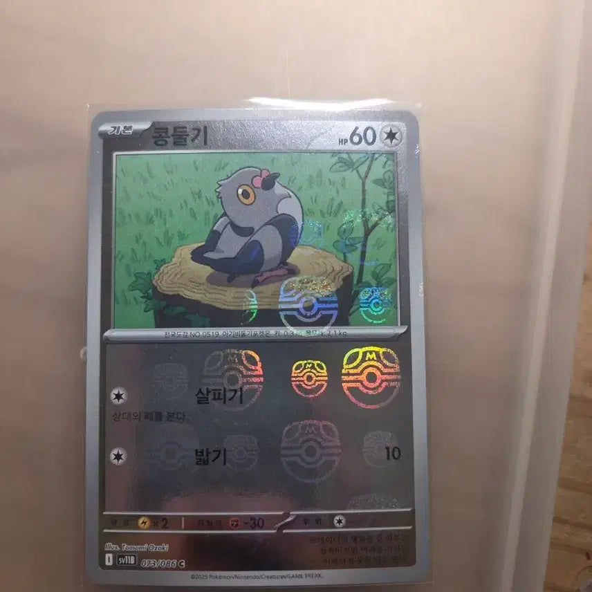 [BUNJANG] Master Ball Kongdori Photocard / 마스터볼 콩둘기