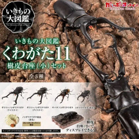 [BUNJANG] Bandai Stag Beetle 11th Edition Online Full Set / 반다이 생물대도감 사슴벌레 11탄 온라인판 풀세트