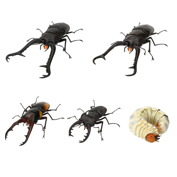 [BUNJANG] Bandai Stag Beetle 11th Edition Online Full Set / 반다이 생물대도감 사슴벌레 11탄 온라인판 풀세트
