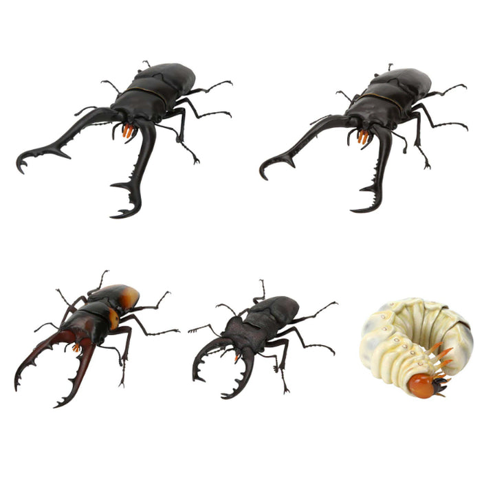 [BUNJANG] Bandai Stag Beetle 11th Edition Online Full Set / 반다이 생물대도감 사슴벌레 11탄 온라인판 풀세트