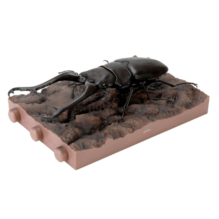 [BUNJANG] Bandai Stag Beetle 11th Edition Online Full Set / 반다이 생물대도감 사슴벌레 11탄 온라인판 풀세트