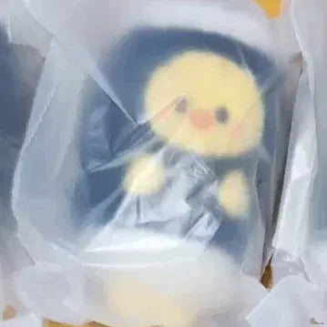 [BUNJANG] Stray Kids Felix Gimbap Skew Case Photocard / 뽁아리 필릭스 김밥 스키주 팝업 스트레이키즈 스키즈