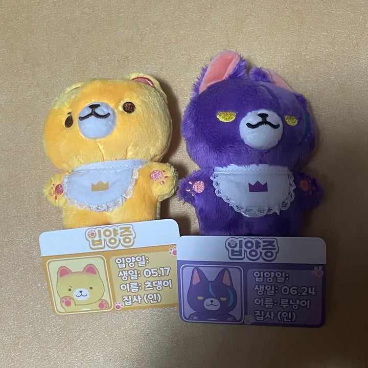 [BUNJANG] Tsudeng and Lunyang Doll Set / 츠댕이 루냥이 인형+ 포카세트
