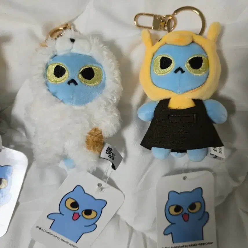 [BUNJANG] Bundle Set &