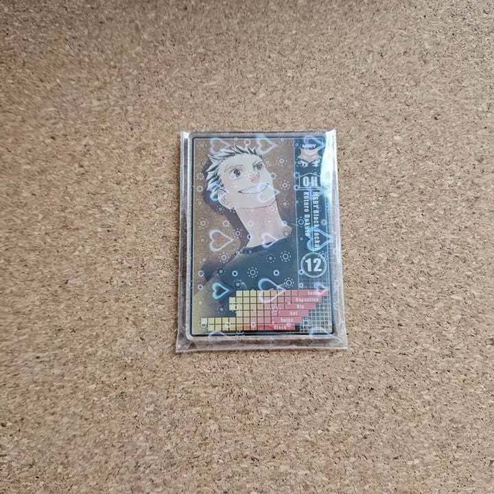 [BUNJANG] Haikyuu!! Bokuto Koutarou Status Card / 하이큐 보쿠토 스테이터스