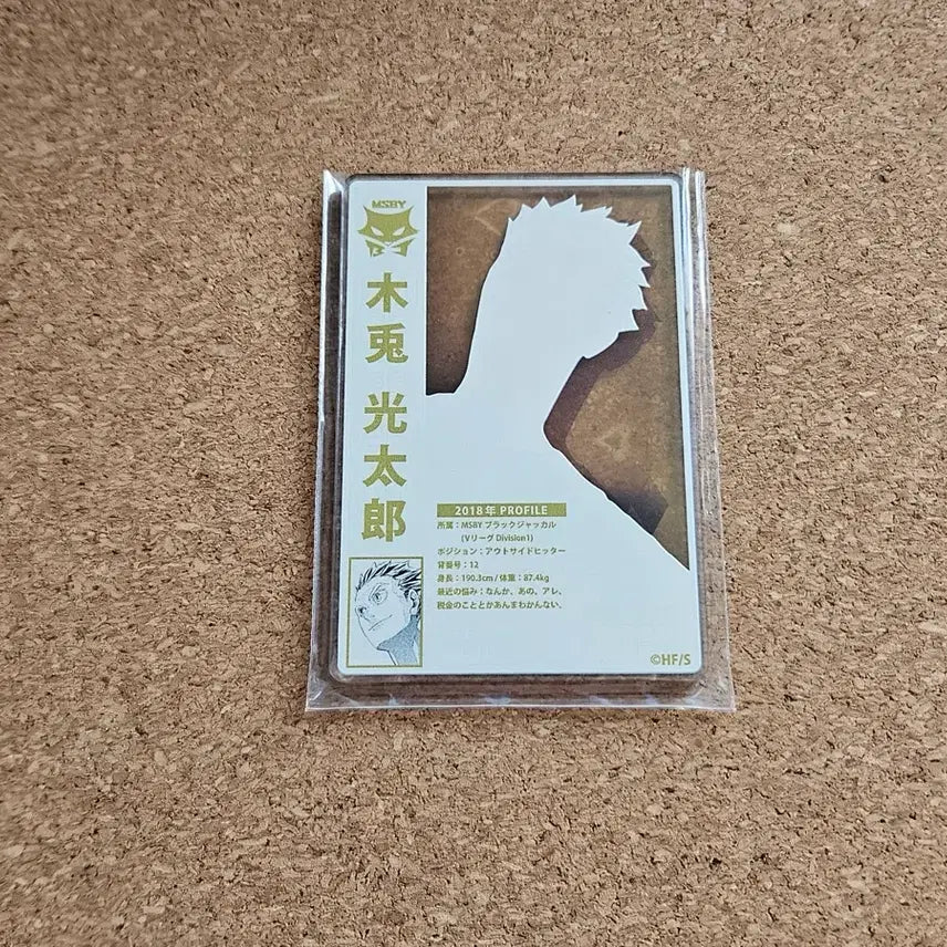 [BUNJANG] Haikyuu!! Bokuto Koutarou Status Card / 하이큐 보쿠토 스테이터스