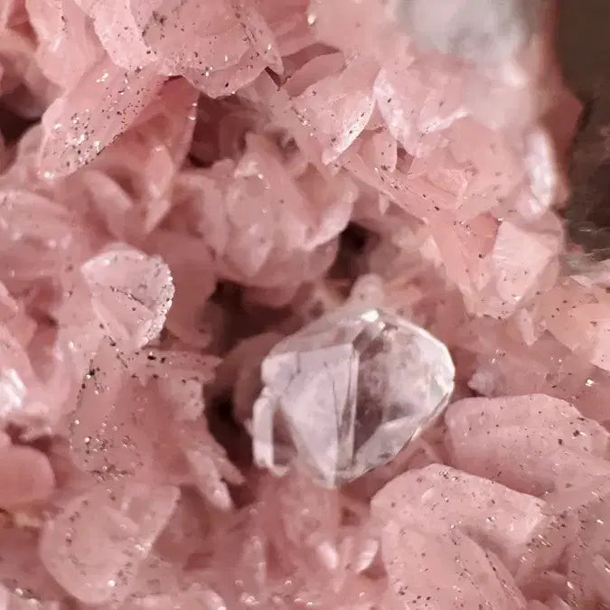[BUNJANG] Flower-form Rhodochrosite &amp; Quartz Miniature Mineral Specimen / 플라워형 능망간석