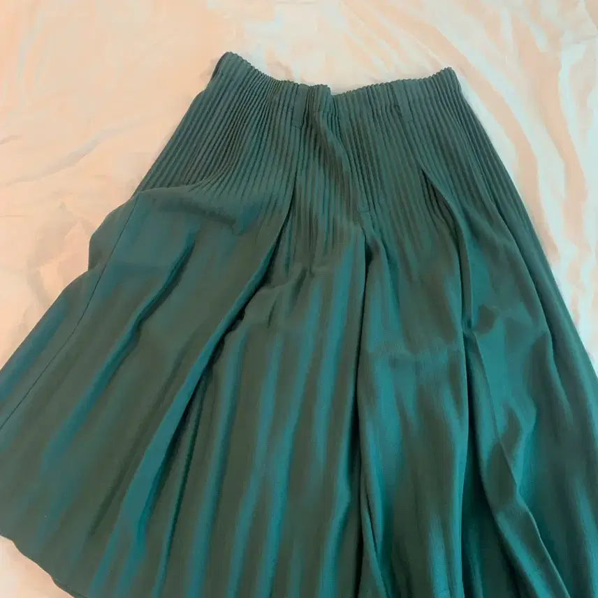 [BUNJANG] Homme Plissé Issey Miyake Monthly Hakamé Fluffy Pants / 옴므플리세 하카마 플러피 25년 2월 먼슬리 2