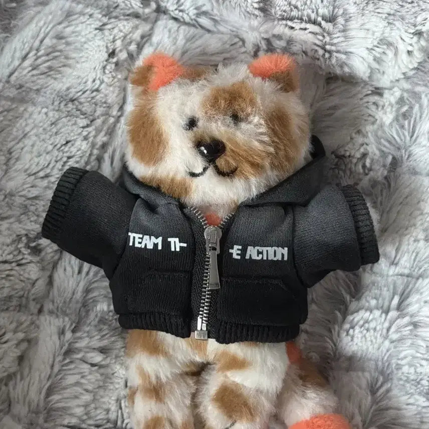 [BUNJANG] BOYNEXTDOOR 1st Cat Ppyi Doll / 보이넥스트도어 1기 캣삐