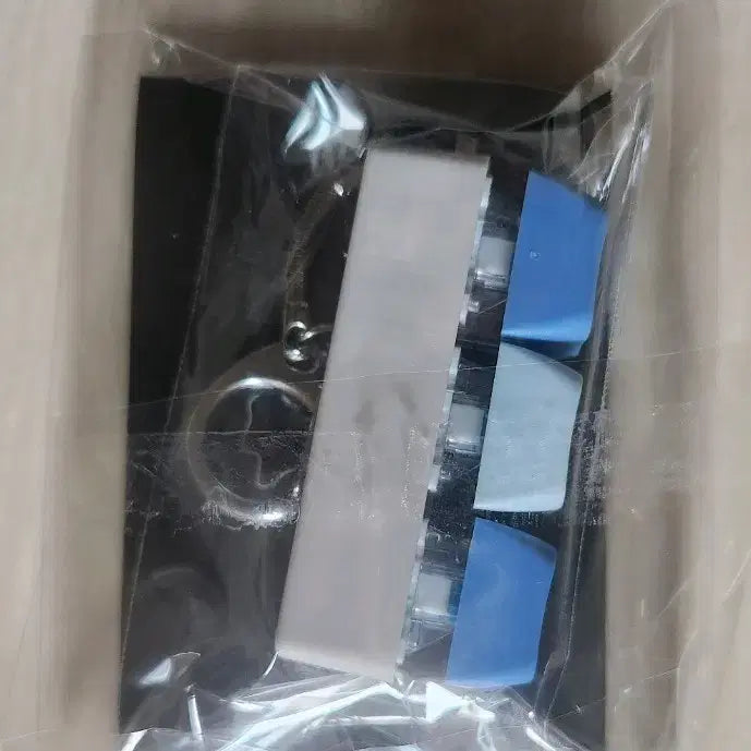 [SOLD OUT] 변우석 다슈포토카드,키링