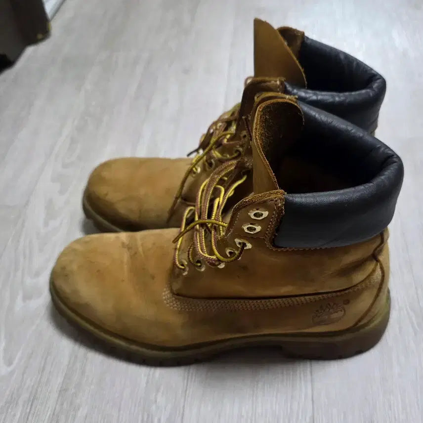 [BUNJANG] Timberland 6-Inch Waterproof Premium Boots / [260~265]팀버랜드 6인치 워터프루프 프리미엄 부츠