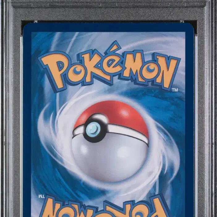 [BUNJANG] Rayquaza V Special Illustration PSA 10 Graded Card / 포켓몬 카드 레쿠쟈V 특일 PSA10