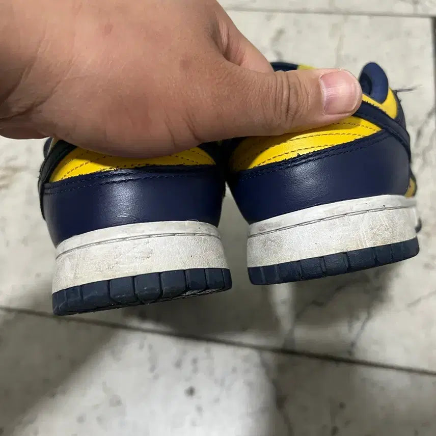[BUNJANG] Nike Dunk Low Varsity Maze (255mm) / 덩크 남노 255 팝니다