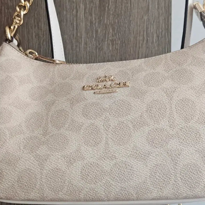 [BUNJANG] Coach Terry Shoulder Bag / 코치 테리 숄더백