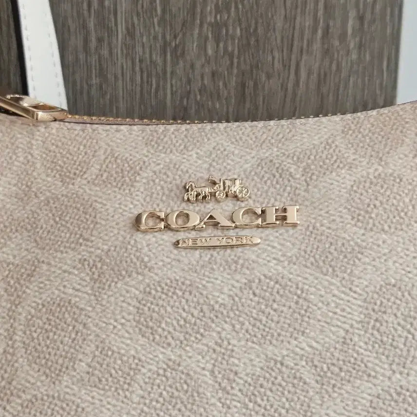 [BUNJANG] Coach Terry Shoulder Bag / 코치 테리 숄더백
