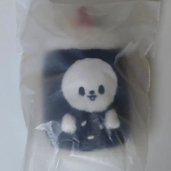 [BUNJANG] Stray Kids SKZOO LeeKnow Ribbit Keyring / 스트레이키즈 스키주 키링 서울 팝업 리빗 리노 미개봉