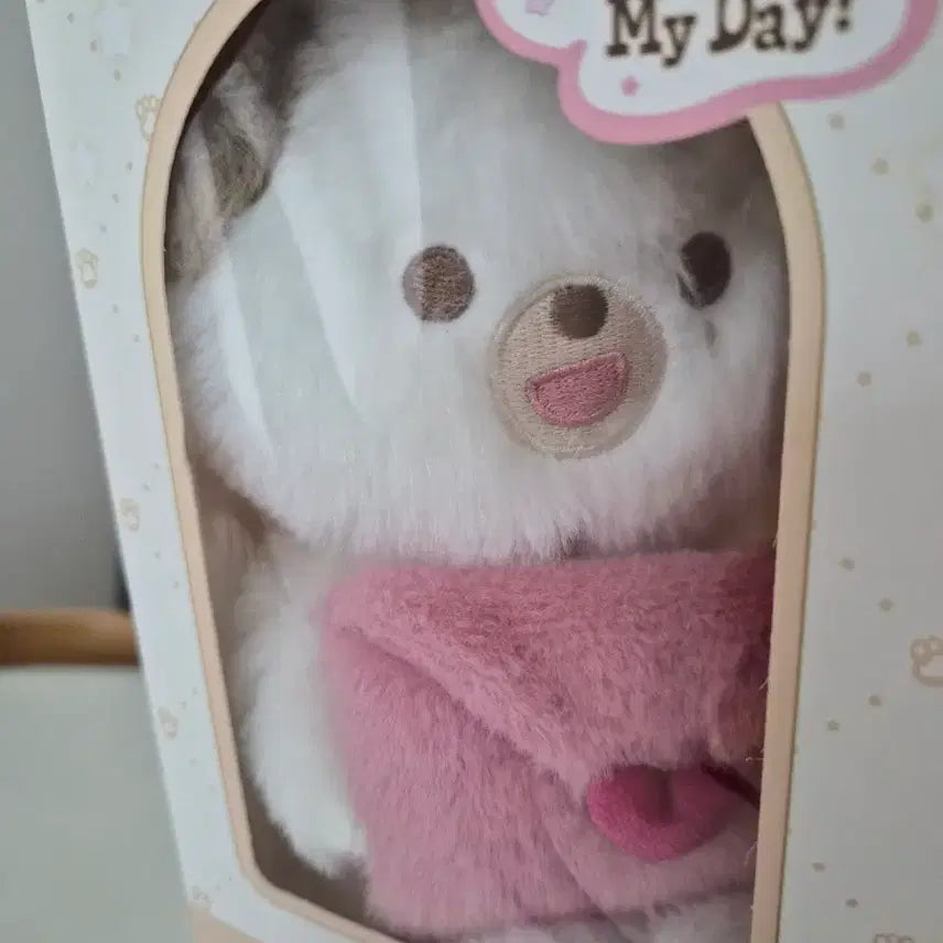 [BUNJANG] Petitmels ID Photo Holder + Voice Card / 쁘띠멀즈 증사홀더+보이스 돈