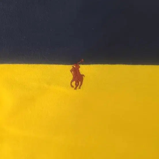[BUNJANG] Polo Rugby Shirt / [L] 폴로 럭비티