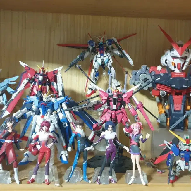 [BUNJANG] Gundam SEED Freedom Gunpla Model Kit Bundle Set / 건담 시드 프리덤 가조립 판매 건프라