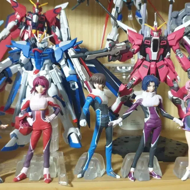 [BUNJANG] Gundam SEED Freedom Gunpla Model Kit Bundle Set / 건담 시드 프리덤 가조립 판매 건프라