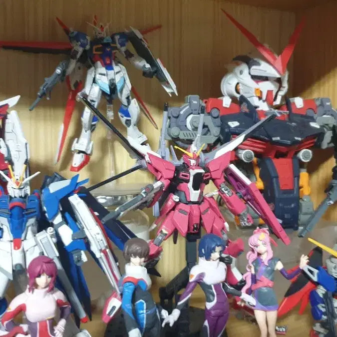 [BUNJANG] Gundam SEED Freedom Gunpla Model Kit Bundle Set / 건담 시드 프리덤 가조립 판매 건프라
