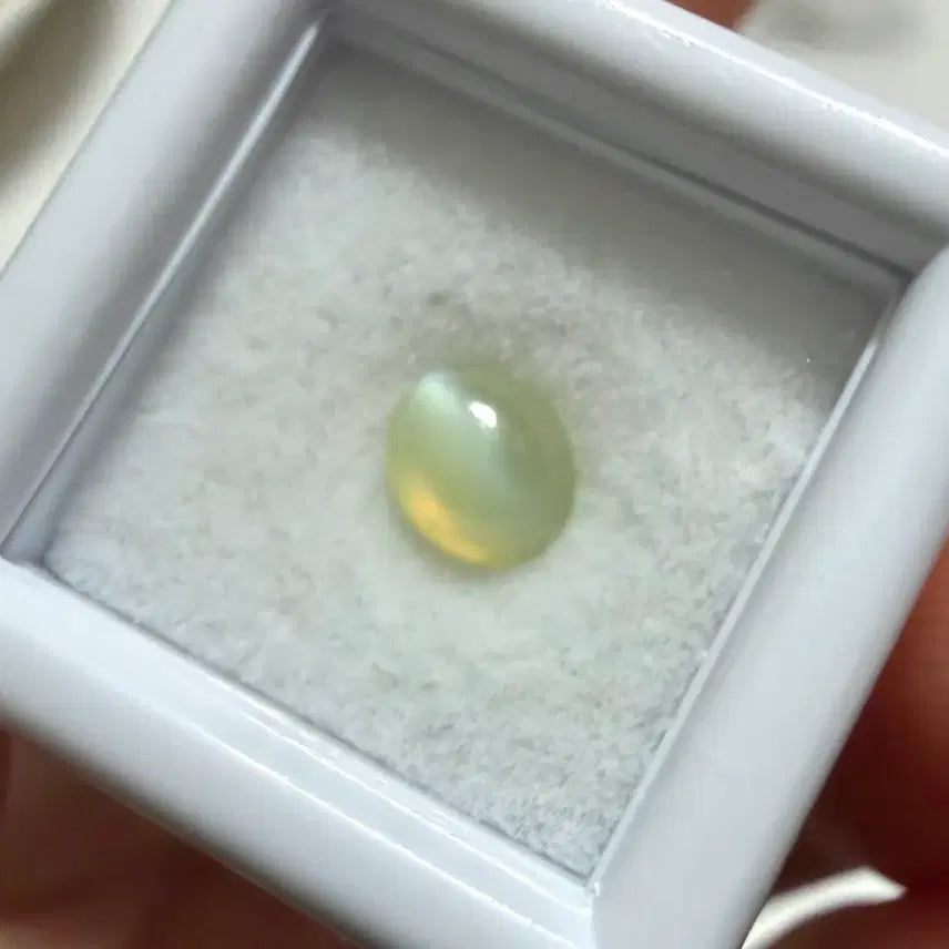 [BUNJANG] Green Star Sapphire and Cat&