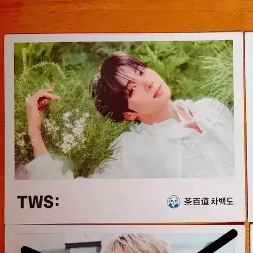[BUNJANG] TWS CHAENGBEKDO Postcard Photocard YOUNGJAE / TWS 투어스 차백도 엽서 포카 영재