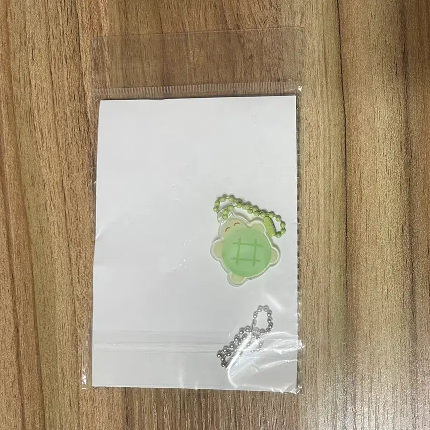 [BUNJANG] Turtle PVC Photocard Holder / 거북이 투명 pvc 포카 파우치 탑로더 슬리브 키링 포토카드 홀더