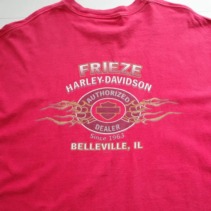 [BUNJANG] Harley-Davidson Vintage 00s USA Printed T-Shirt 2XL / 00s 할리데이비슨 MADE IN USA 프린팅 반팔티 2XL