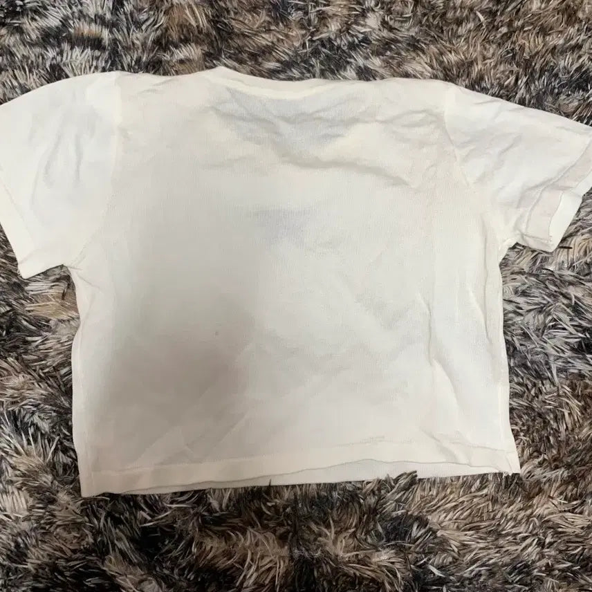 [BUNJANG] Butterfly Embroidery Cropped Short Sleeve T-Shirt / 여름옷// 나비 크롭 반팔티