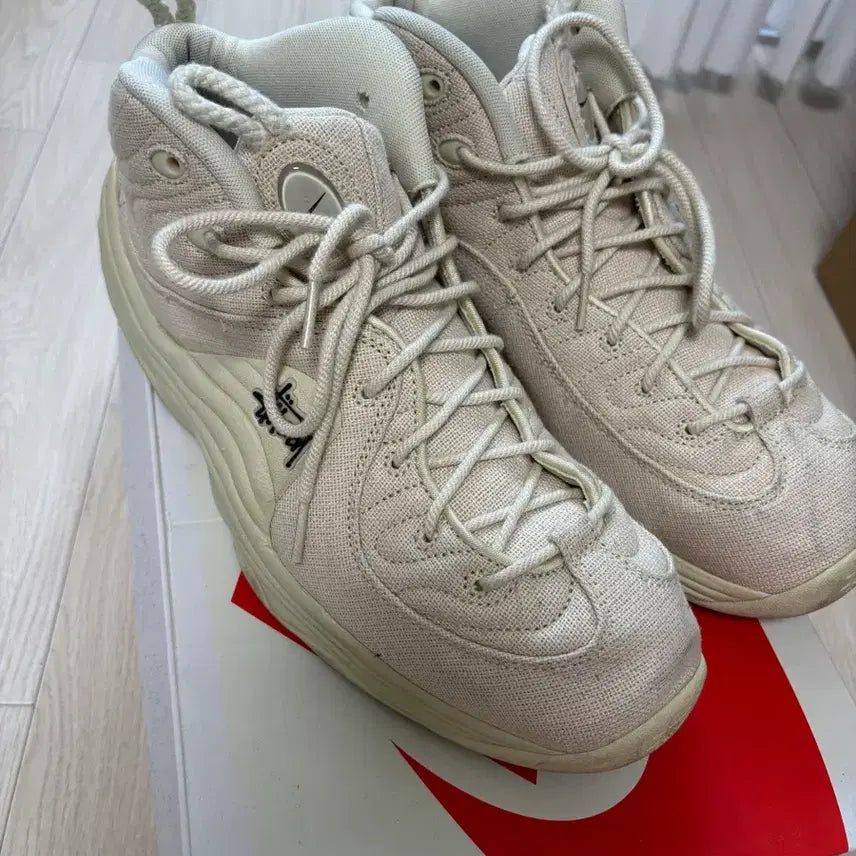 [BUNJANG] Nike Stussy Air Penny 300 / 나이키 스투시 에어페니 파슬 300 팝니다