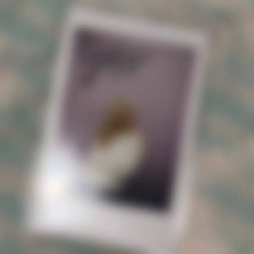[BUNJANG] CLC Jang Yeeun Signed Polaroid / 씨엘씨 장예은 clc 예은 싸인 폴라로이드