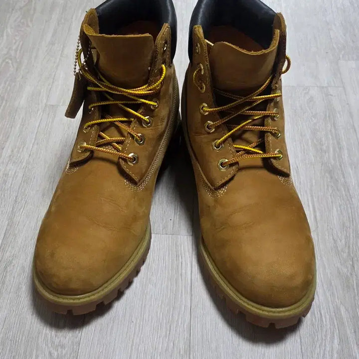 [BUNJANG] Timberland 6-Inch Waterproof Premium Boots / [280~285]팀버랜드 6인치 워터프루프 프리미엄 부츠