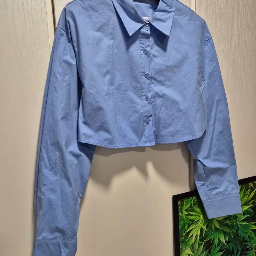 [BUNJANG] DINT Cropped Shirt (Sky Blue) / (3시간.타임세일)(새상품)DINT 딘트 소라색 크롭 셔츠